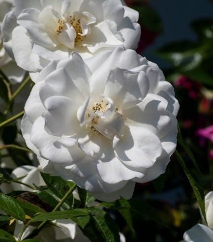 avatar the promise part 2 pdf