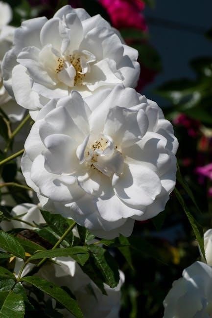 avatar the promise part 2 pdf