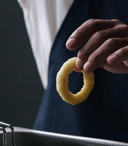 ninja foodi air fryer manual pdf